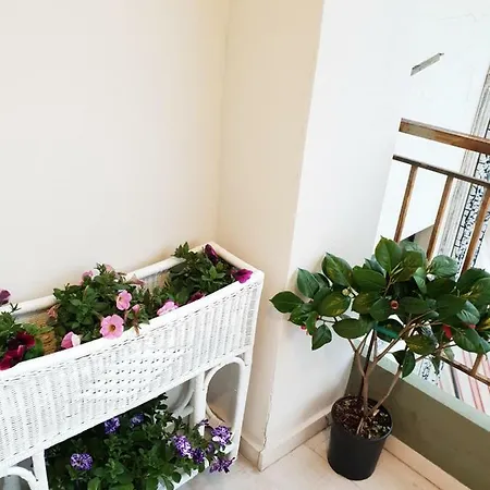 Lemesou Appartement *